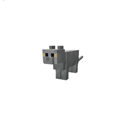 catbritish_shorthair