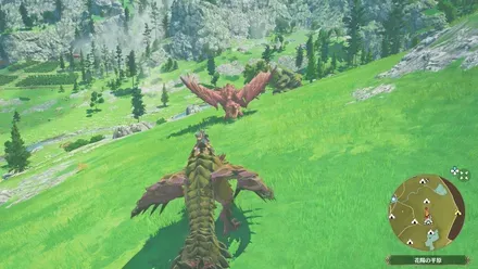 リオレイア亜種の出現場所見た目1