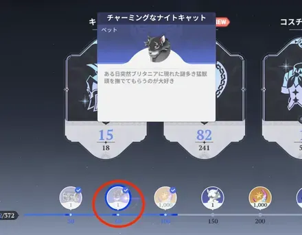 チャーミングなナイトキャット