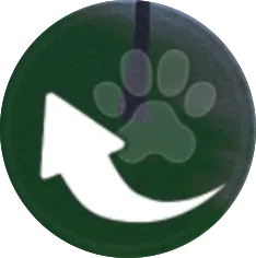 唄うストームバード