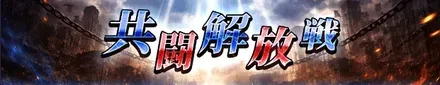 共闘解放戦