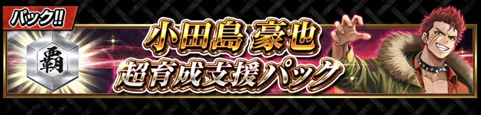 襲来イベント攻略パック