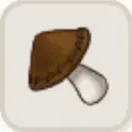 レザーウッドの葉