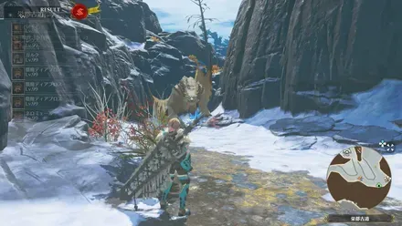 ベリオロスの出現場所見た目1