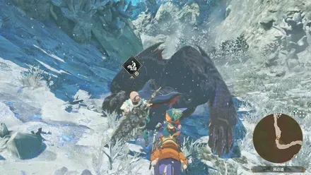 ナルガクルガの出現場所見た目1