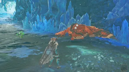 リオレウスの出現場所見た目1