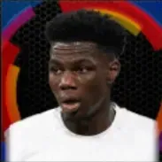 HPオーレリアン・チュアメニ(04/02)の画像