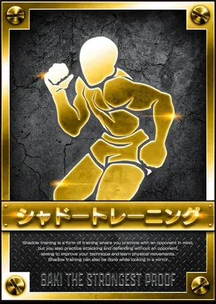 シャドートレーニングの画像