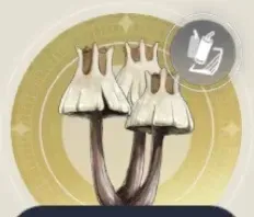 学園マッシュルームの画像