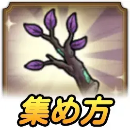 しい枝の効率的な集め方