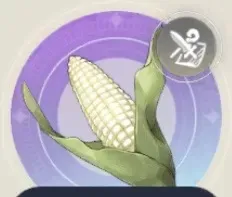 学園トウモロコシの画像