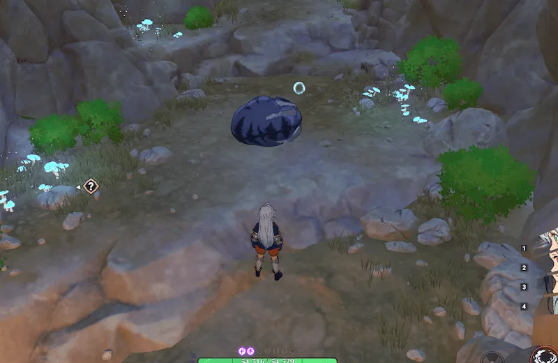 懐いたカンガルーネズミ_出現