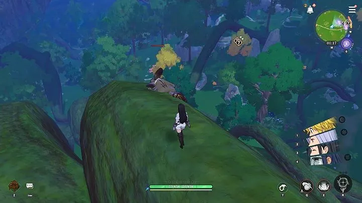 エゾモモンガ_捕獲方法4