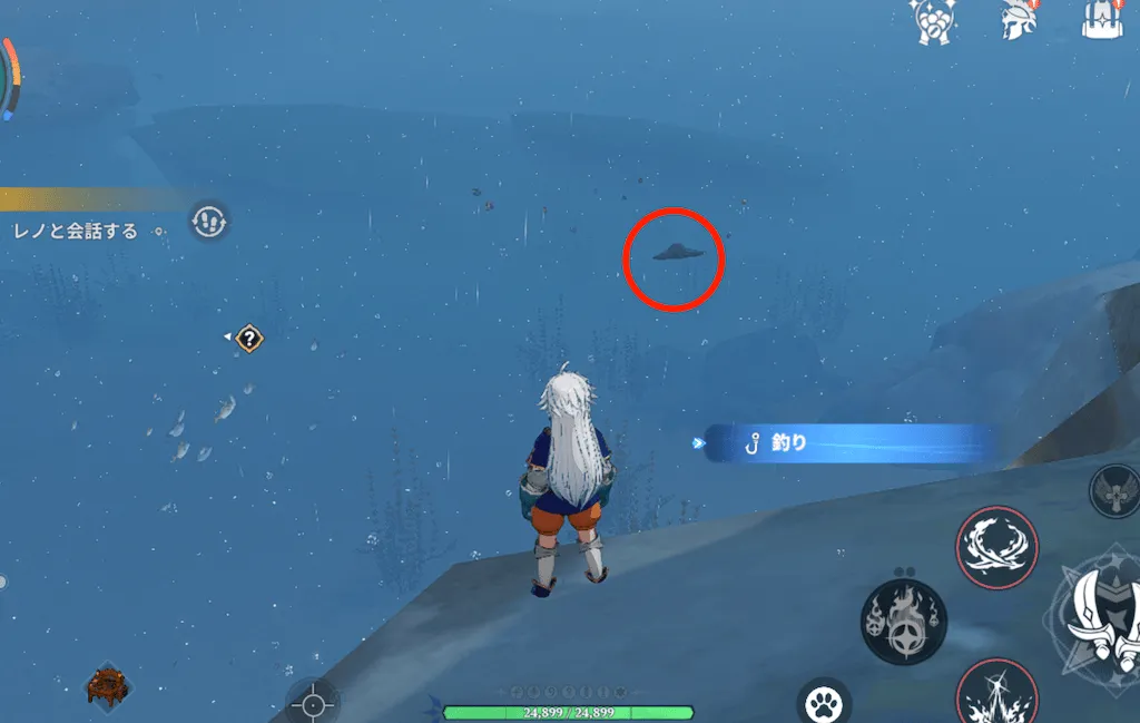 遊泳するアオゾラエイ_釣り場