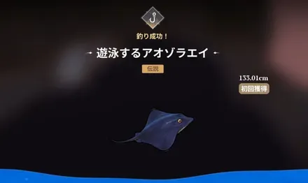 遊泳するアオゾラエイ