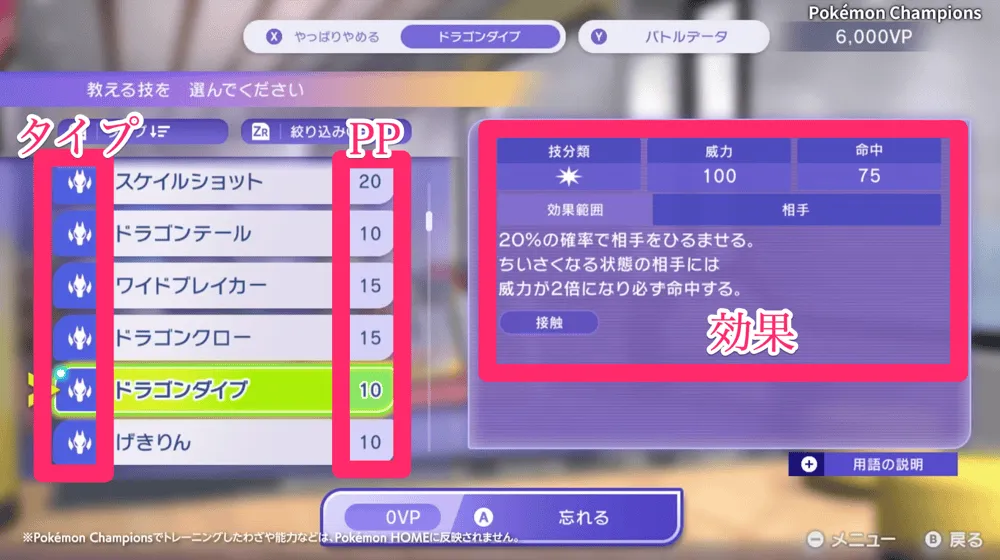 技トレーニング