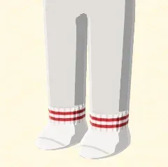 ツーラインショートソックス画像