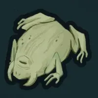 石化したカエル画像