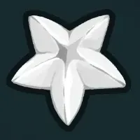 ホワイトスター画像