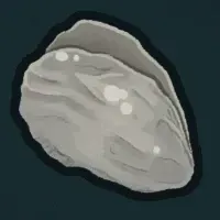 栄養満点のカキ画像