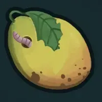 マンゴー？画像