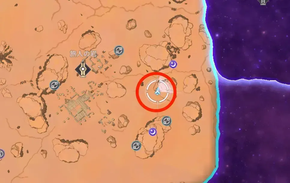 懐いたアカギツネ