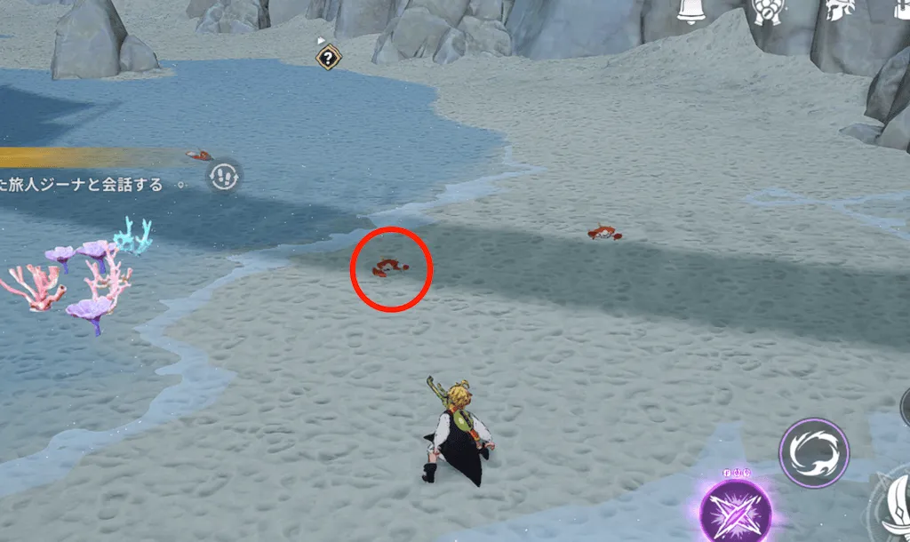 サンドクラブ_見た目