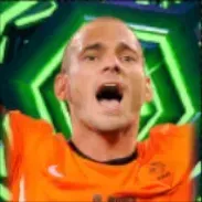 EPヴェスリースナイデル(オランダ/2010)画像