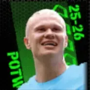 TPアーリング・ハーランド(04/09)の画像