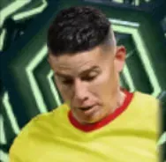 HPハメス・ロドリゲス(04/09)画像