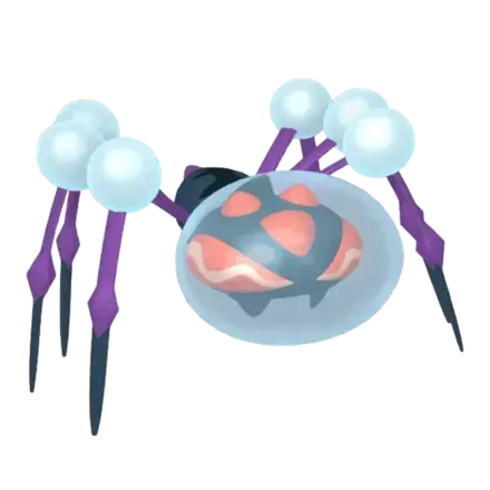 オニシズクモ画像