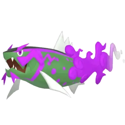 イダイトウ（オス）画像