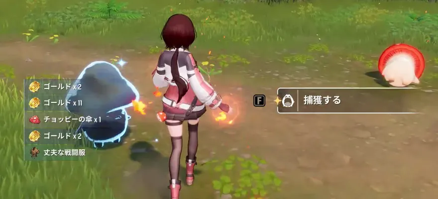 モンスターを捕獲する