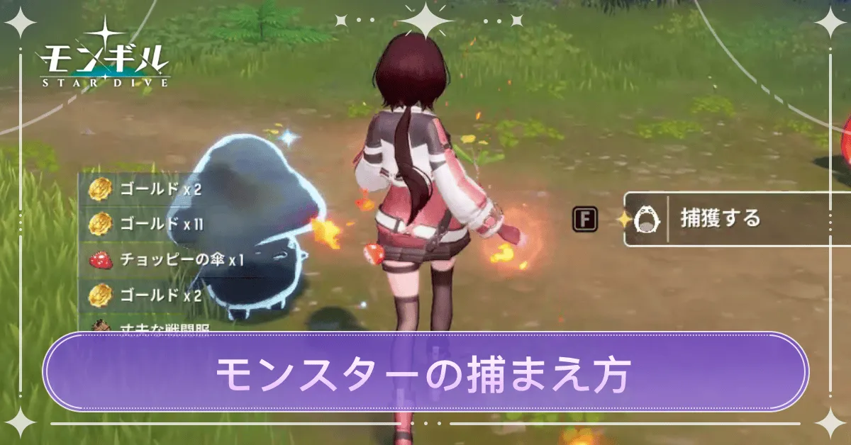 モンスターの捕まえ方