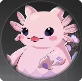 デカドラサザエの画像