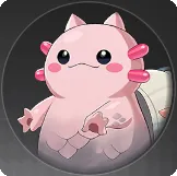 ドラサザエの画像