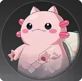 ドラサザエの画像