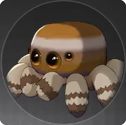 スパダーの画像