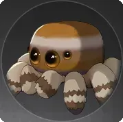 スパダーの画像