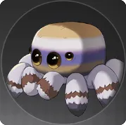 スプダーの画像