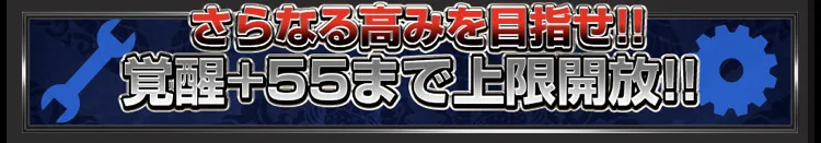 覇幻の証で55まで強化可能