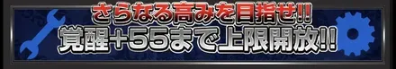 覇幻の証で55まで強化可能