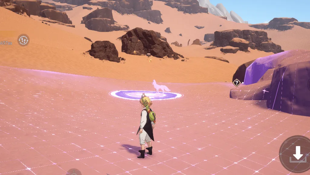 懐いたフェネック_捕獲