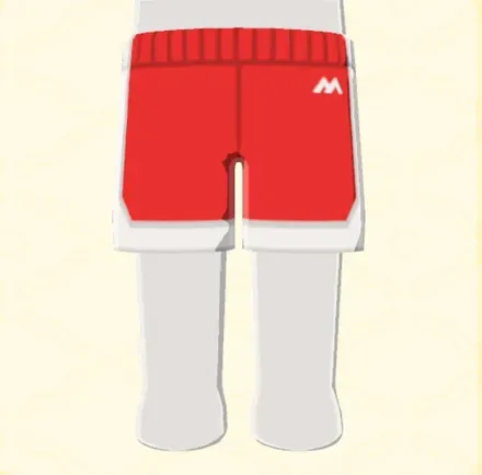 バスケパンツ画像