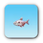 桃尾魚