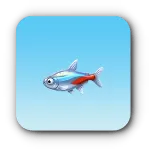 青筋魚