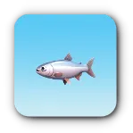 銀点魚