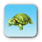 クサガメ