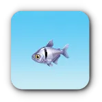 青尾魚