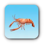 ヒゲナガエビ